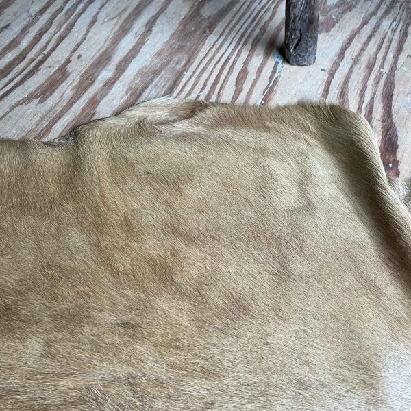 Geitenvacht beige/camel - 47 - Afbeelding 2