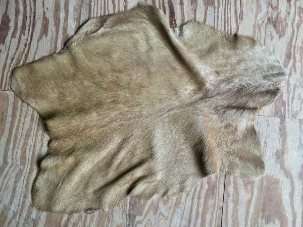 Geitenvacht beige/camel - 47