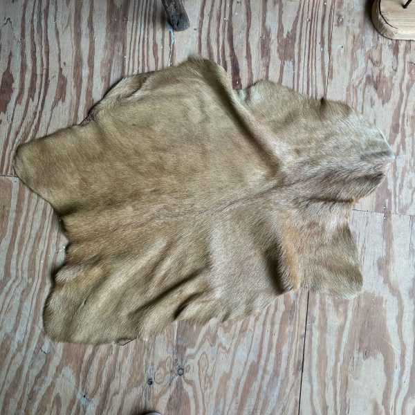 Geitenvacht beige/camel - 47