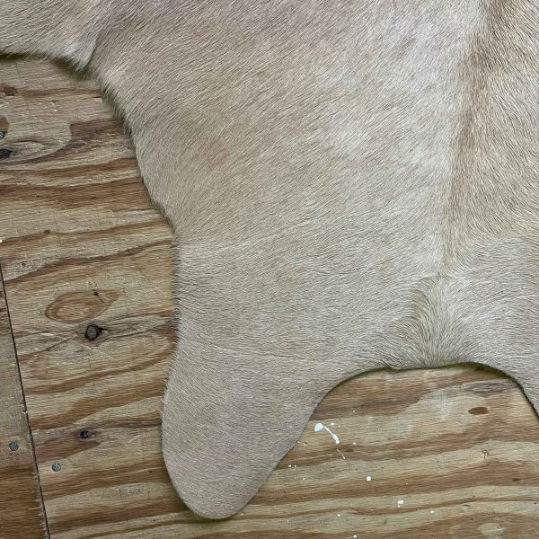 Kalfshuid kort glad beige - 60 - Afbeelding 2