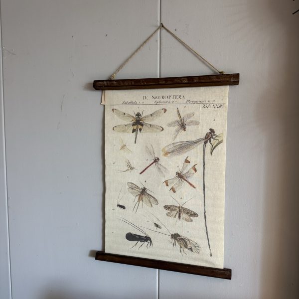 Vintage doek insecten