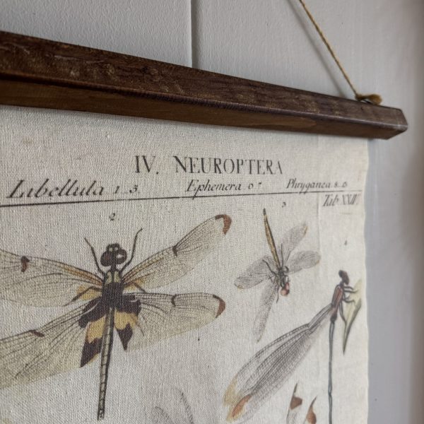 Vintage doek insecten - Afbeelding 2