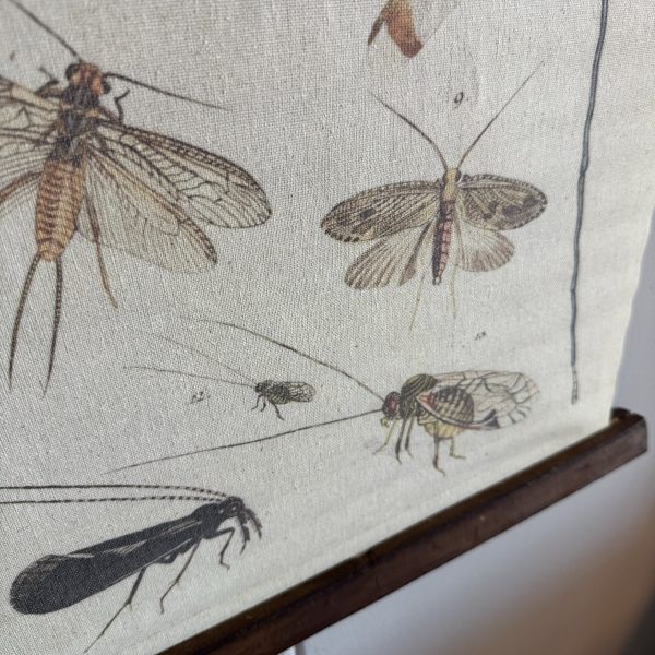Vintage doek insecten - Afbeelding 3